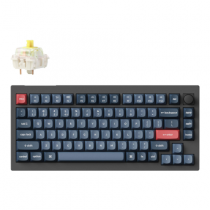 Wireless V1 MAX RGB - ENG