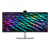 Dell 34'' / P3426WEB