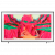 Samsung 65" / QE65LS03FAUXXH