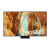 Samsung 55'' / QE55QN70FAUXXH