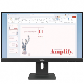 Lenovo 23.8" / ThinkVision E24-40