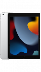 Apple iPad 10.2" Wi-Fi + Cellular 256GB 9th Gen