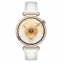 Watch GT6 41mm
