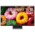 LG 24'' / 24LB70003LA.AEU