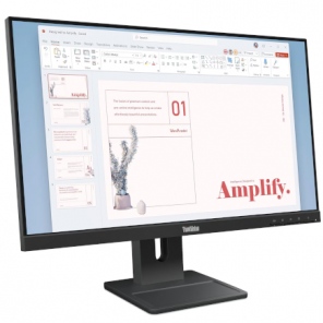 Lenovo 23.8" / ThinkVision E24-40