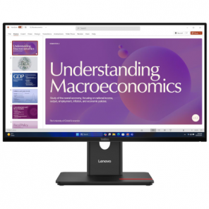 Lenovo 23.8" / ThinkVision T24D-40