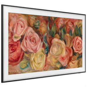 Samsung 55" / QE55LS03FAUXXH