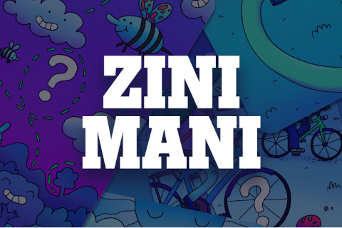 Zini mani